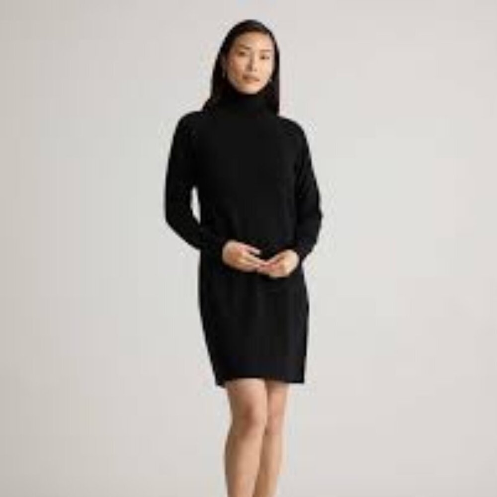 NWT Quince Mongolian Cashmere Turtleneck Sweater Dress - Medium - Black